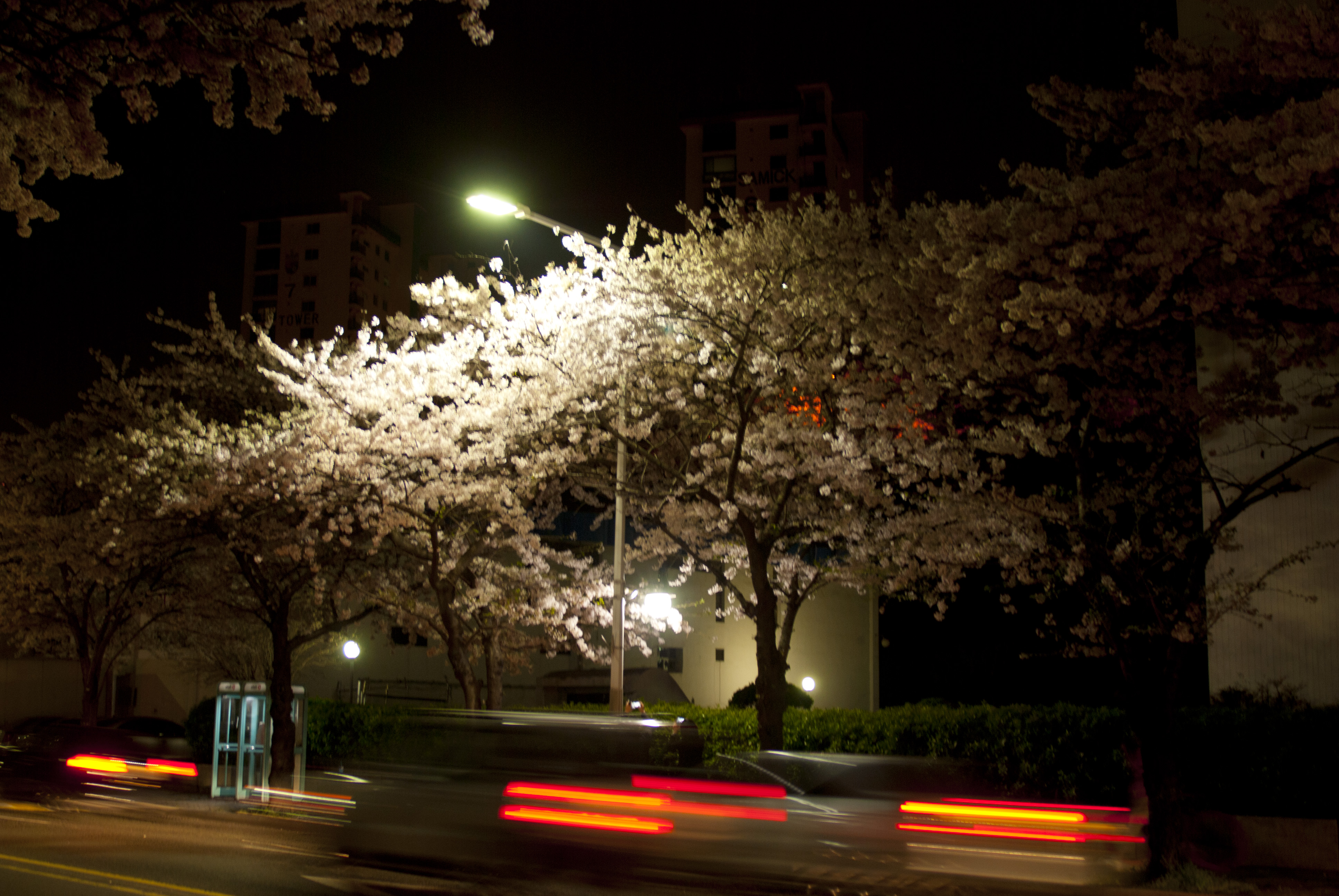 Night Car Light Trails
